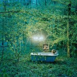 Lights in The Wood-1
