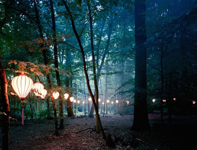 Lights in The Wood-2