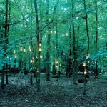 Lights in The Wood-5