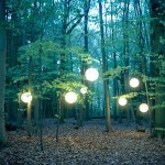 Lights in The Wood-7