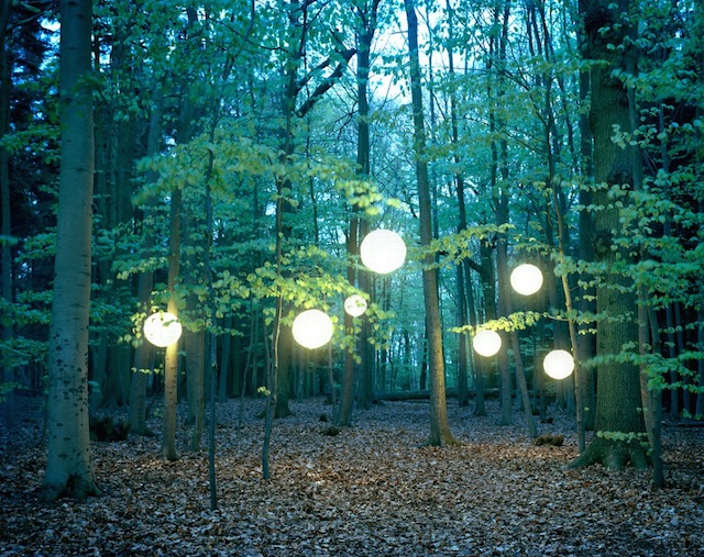 Lights in The Wood-7
