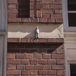 undefined Miniature Sculptures in City Photography_10