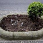 Miniature Sculptures in City Photography_4