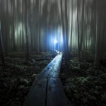 Mystical Nature by Mika Suutari-2