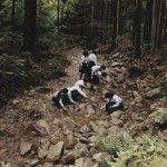 Osamu_Yokonami_22