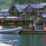 The Little Nordics - Life in miniature-5