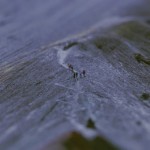The Little Nordics - Life in miniature-6