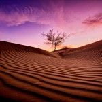 Time-lapsed Landscapes Photography_9
