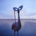 Visual Metaphors Photography -1B