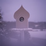 Visual Metaphors Photography -4b