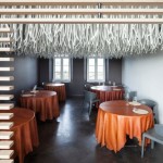 White Lianes Installations -1