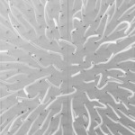 White Lianes Installations -5