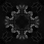 creaturesgodsandarchitectures-1
