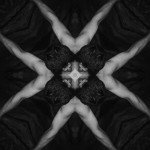 creaturesgodsandarchitectures-12
