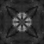 creaturesgodsandarchitectures-9