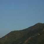diestro-8
