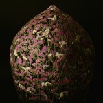ignacio-8