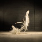jeffreyvanhoutte4