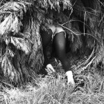 lara-gasparotto-6