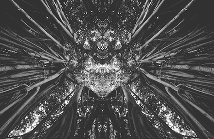 Black and White Rorschach Landscapes