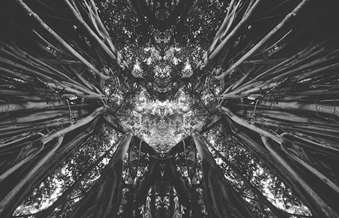 Black and White Rorschach Landscapes