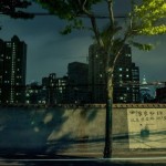 shanghainight-12