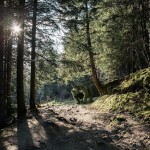 thequestoftheabsolute-1