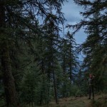 thequestoftheabsolute-8