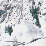 tombolini-1