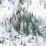 tombolini-5