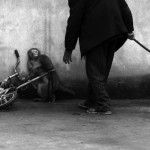 0-Nature - Monkey training for a circus by Yongzhi Chu