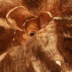 140 Years Old Tree Sculpture_0