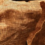 140 Years Old Tree Sculpture_5