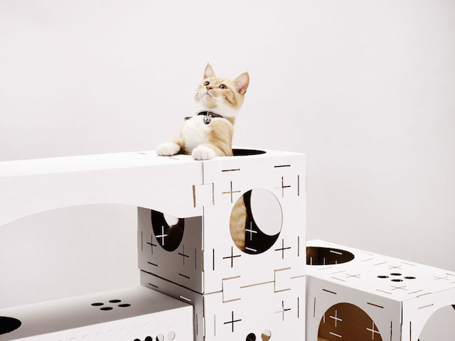 2Playful DIY Cardboard House for Cats BY pOOPY cat