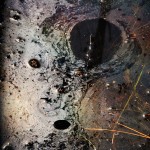 Abstract Nature Details-10