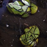 Abstract Nature Details-21