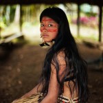 Amazon Rainforest