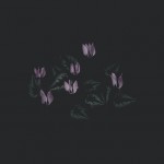 Atmospheric Photography Series-10