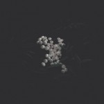 Atmospheric Photography Series-10b