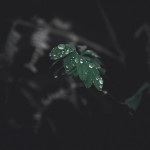 Atmospheric Photography Series-13