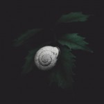 Atmospheric Photography Series-14