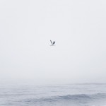 Atmospheric Photography Series-16