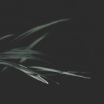 Atmospheric Photography Series-6