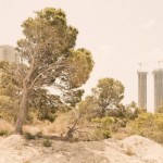 Benidorm-12