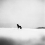 Black and White Imaginary World -12