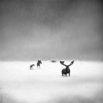 Black and White Imaginary World -8