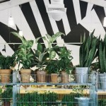 Bulka Cafe and Bakery-12