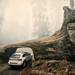 Colorful Landscapes Photography_3