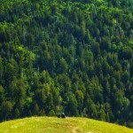 Colorful Landscapes Photography_7