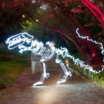 Dinosaur Light Paintings_3